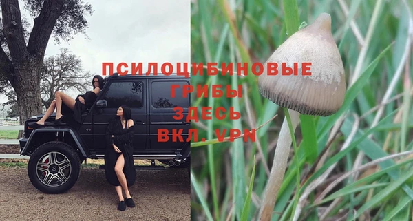 ALPHA-PVP Абинск
